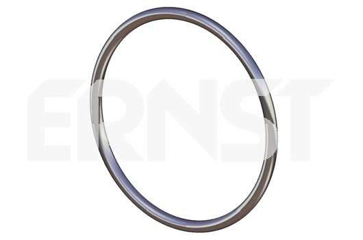 Уплотнительное кольцо, труба выхлопного газа 492201 ERNST
