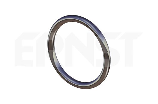 Уплотнительное кольцо, труба выхлопного газа 493178 ERNST