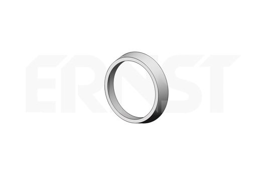 Уплотнительное кольцо, труба выхлопного газа 493918 ERNST