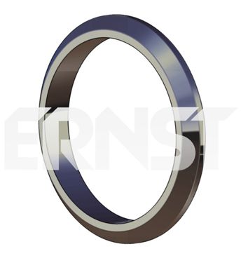 Уплотнительное кольцо, труба выхлопного газа 493925 ERNST