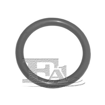 Уплотнительное кольцо 076479100 FA1
