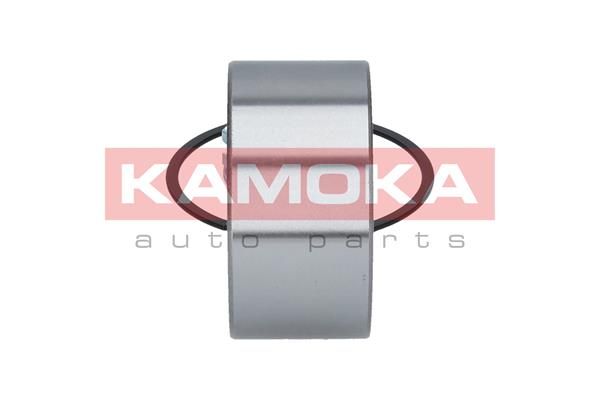 Комплект подшипника ступицы колеса 5600019 KAMOKA