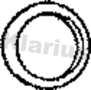 Уплотнительное кольцо, труба выхлопного газа 410233 KLARIUS