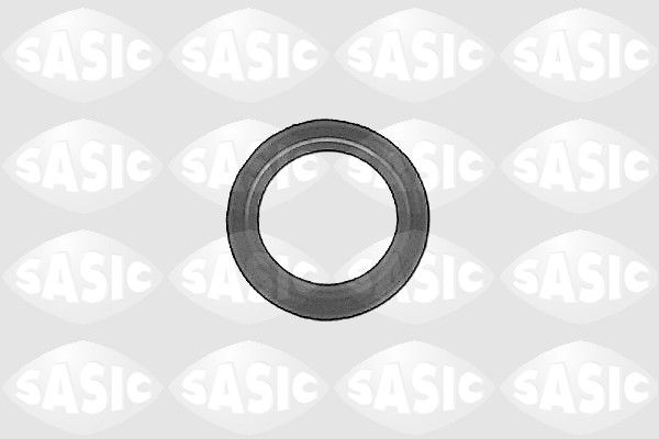Уплотняющее кольцо, дифференциал 1213093 SASIC