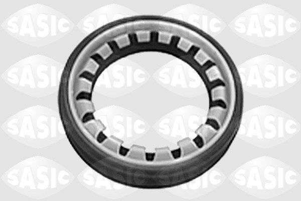 Уплотняющее кольцо, дифференциал 1950001 SASIC