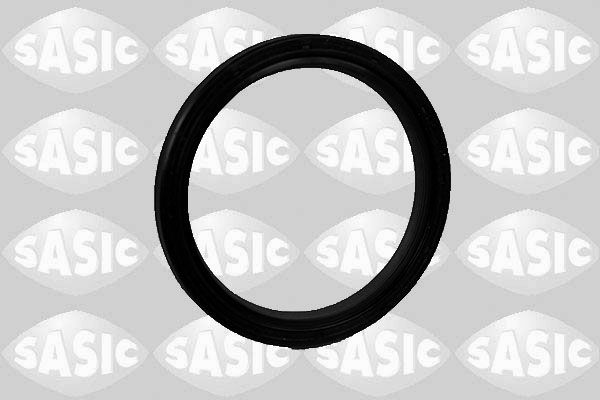 Уплотняющее кольцо, дифференциал 1950004 SASIC