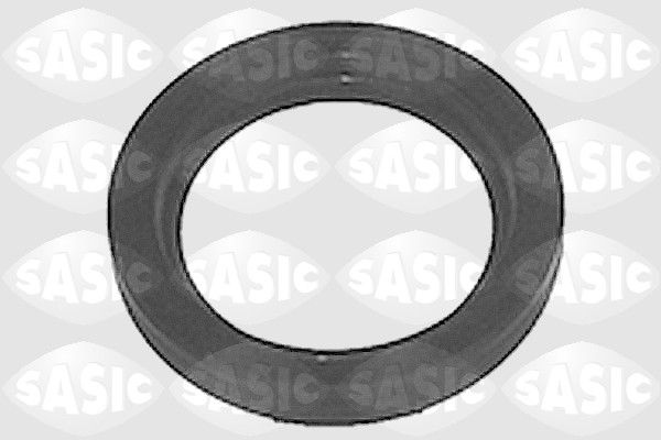 Уплотняющее кольцо, распределительный вал 2360160 SASIC