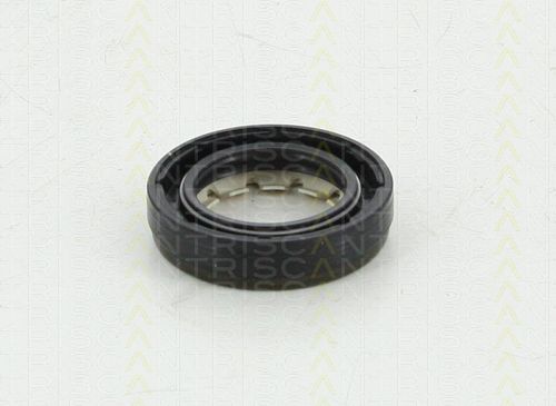 Уплотняющее кольцо, дифференциал 855010043 TRISCAN