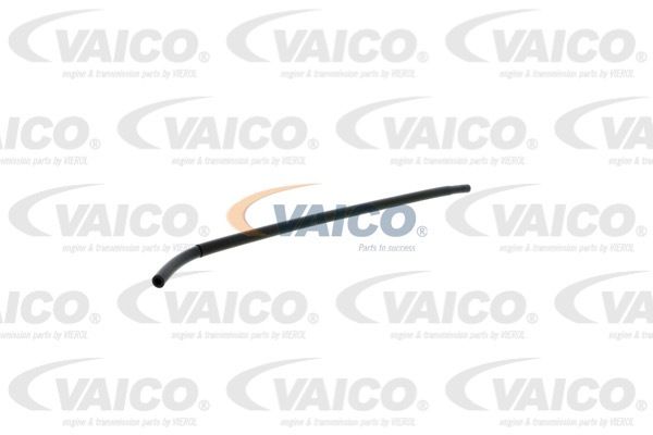 Шланг, вентиляция картера V201995 VAICO